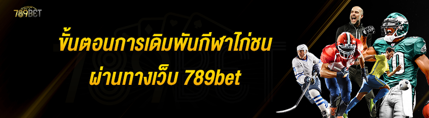 ขั้นตอนการเดิมพันกีฬาไก่ชนผ่านทางเว็บ 789bet